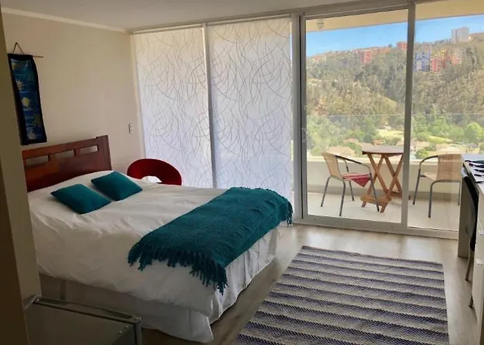 Lindo Departamento Vina Del Mar